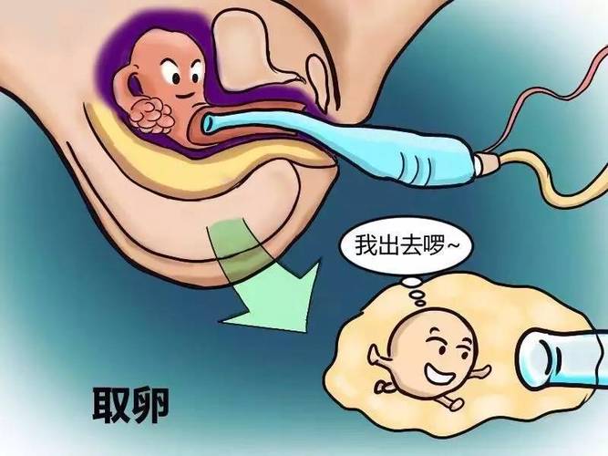 借卵试管代怀找谁-借卵试管代怀找谁:寻找生育希望的中心