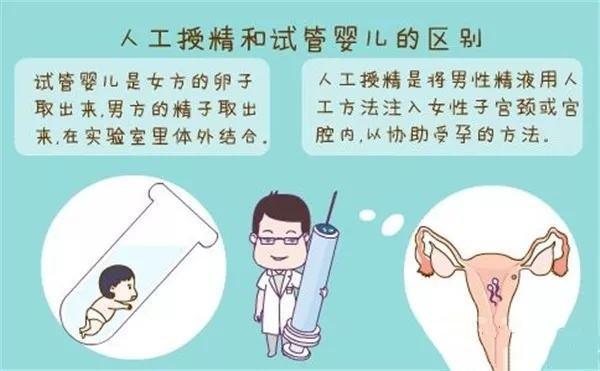借卵试管代怀机构哪家好_借卵试管代怀机构哪家好?选择最佳的代怀母亲机构