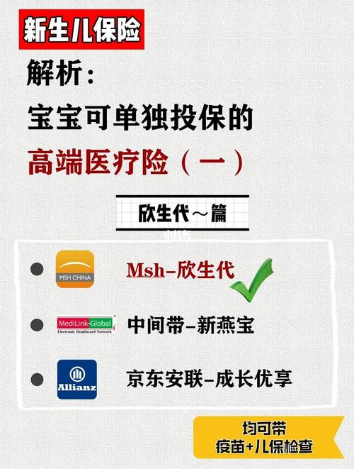 代生孩子合法公司(合法代生孩子公司:孕育新生命的选择)